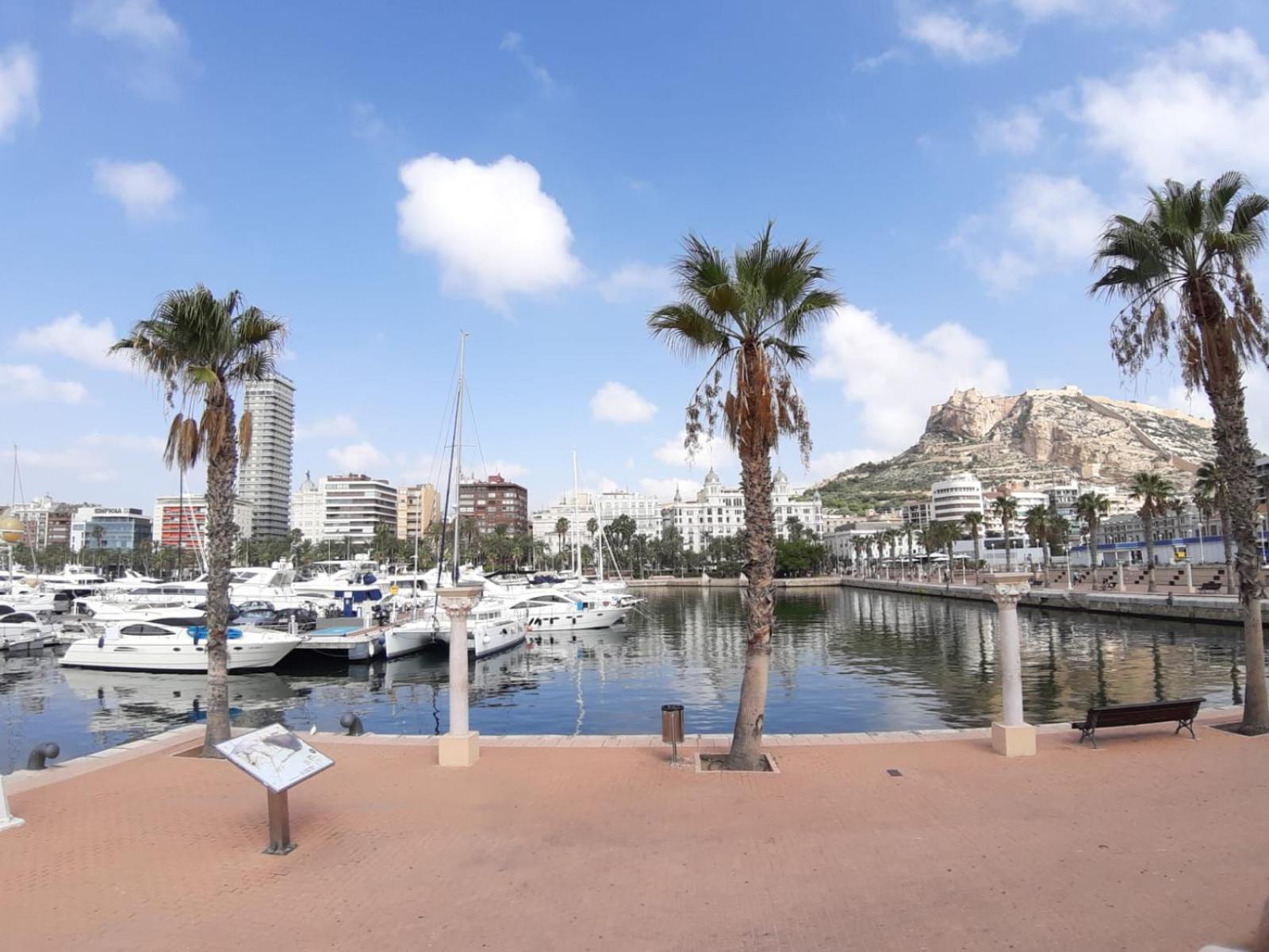 Apartamento Grande-Centro Barrio Playa Alicante Buitenkant foto